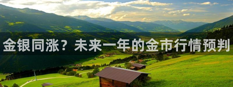 尊龙时凯登陆：金银同涨？未来一年的金市行情预判