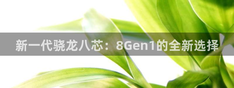 尊龙时凯体育：新一代骁龙八芯：8Gen1的全新选择