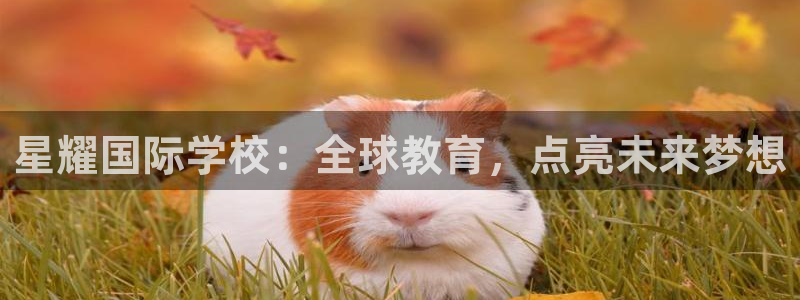 尊龙时凯登录注册：星耀国际学校：全球教育，点亮未来梦想