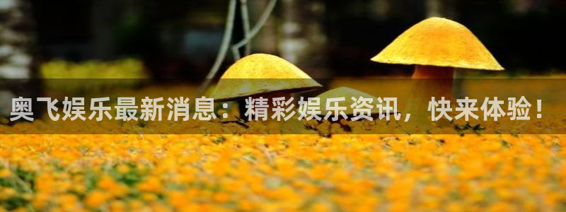 尊龙时凯集团：奥飞娱乐最新消息：精彩娱乐资讯，快来体验！