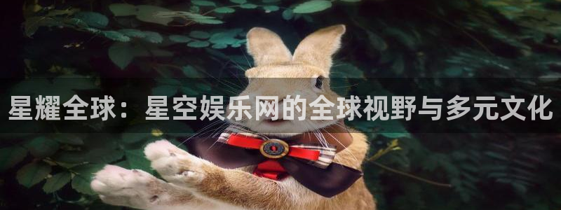 尊龙时凯体育3在线注册：星耀全球：星空娱乐网的全球视野与多元文化