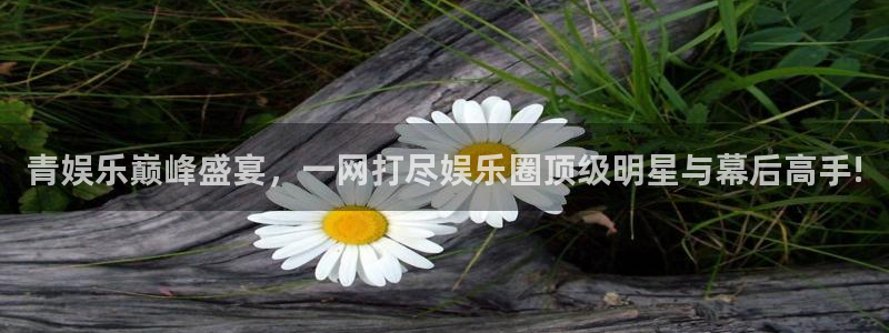尊龙时凯4平台：青娱乐巅峰盛宴，一网打尽娱乐圈顶级明星与幕后高手!