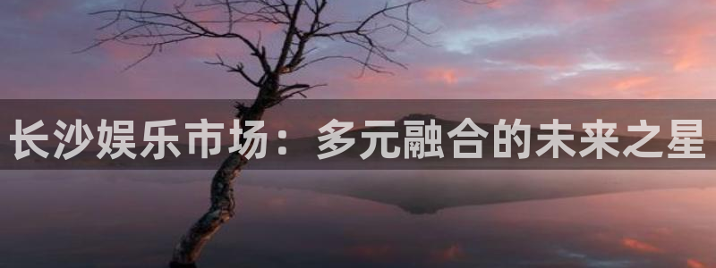 尊龙时凯主管：长沙娱乐市场：多元融合的未来之星