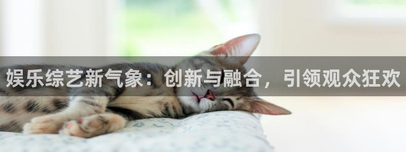 尊龙时凯凯捷平台注册链接：娱乐综艺新气象：创新与融合，引领观众狂欢