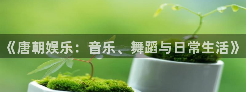 尊龙时凯体育游戏：《唐朝娱乐：音乐、舞蹈与日常生活》