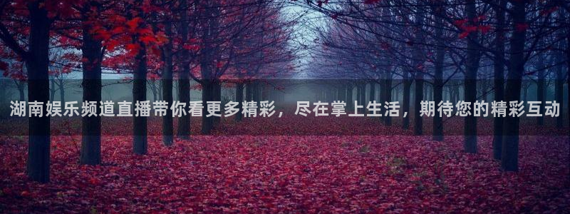 尊龙时凯电子有限公司：湖南娱乐频道直播带你看更多精彩，尽在掌上生活，期待您的精彩