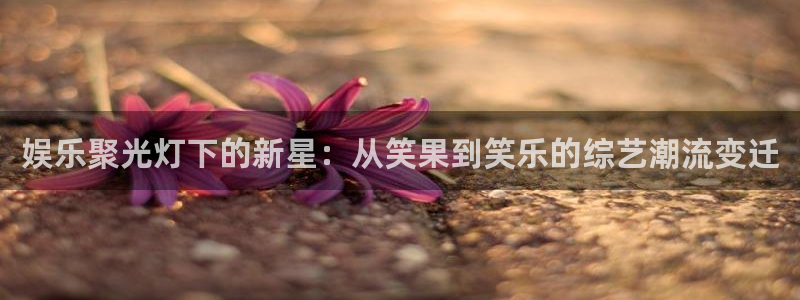 尊龙时凯体育在线注册：娱乐聚光灯下的新星：从笑果到笑乐的综艺潮流变迁