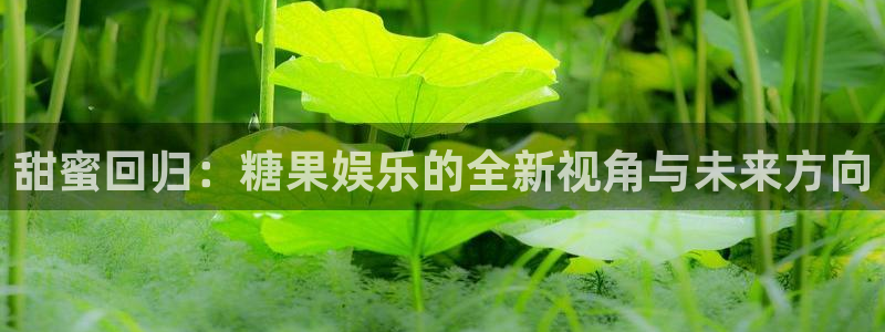 尊龙时凯集团股票：甜蜜回归：糖果娱乐的全新视角与未来方向