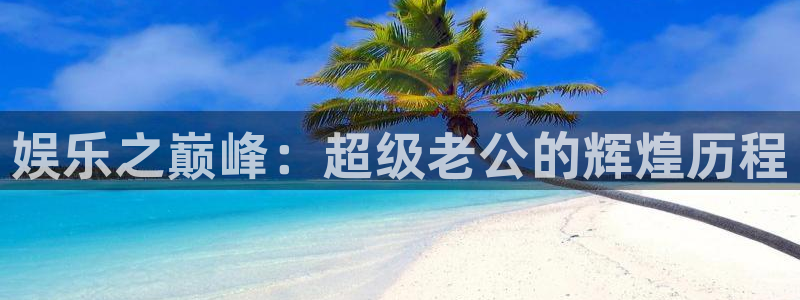 尊龙时凯体育代理申请流程：娱乐之巅峰：超级老公的辉煌历程