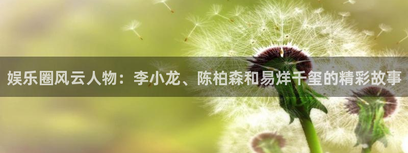 尊龙时凯体育f开号：娱乐圈风云人物：李小龙、陈柏森和易烊千玺的精彩故事