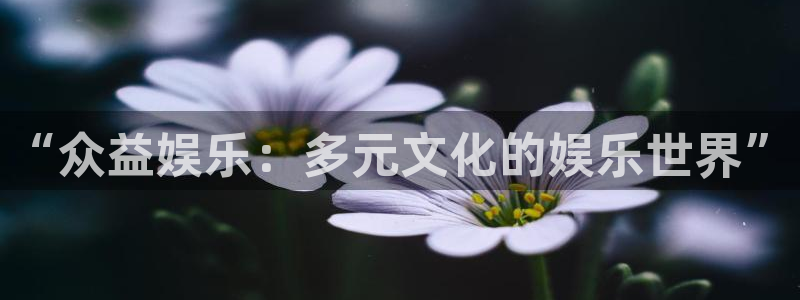 尊龙时凯招商：“众益娱乐：多元文化的娱乐世界”