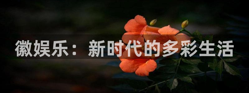 尊龙时凯2体育登录入口：徽娱乐：新时代的多彩生活