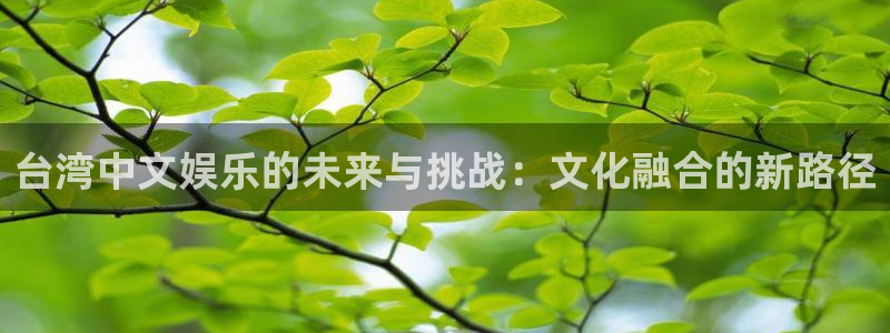 尊龙时凯体育游戏：台湾中文娱乐的未来与挑战：文化融合的新路径