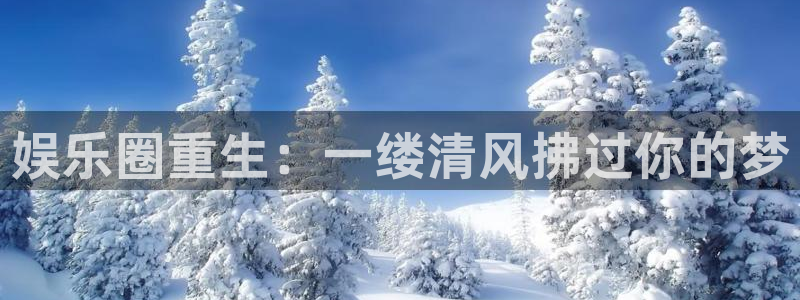 尊龙时凯体育：娱乐圈重生：一缕清风拂过你的梦
