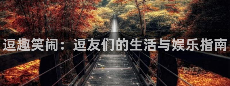 尊龙时凯主管：逗趣笑闹：逗友们的生活与娱乐指南