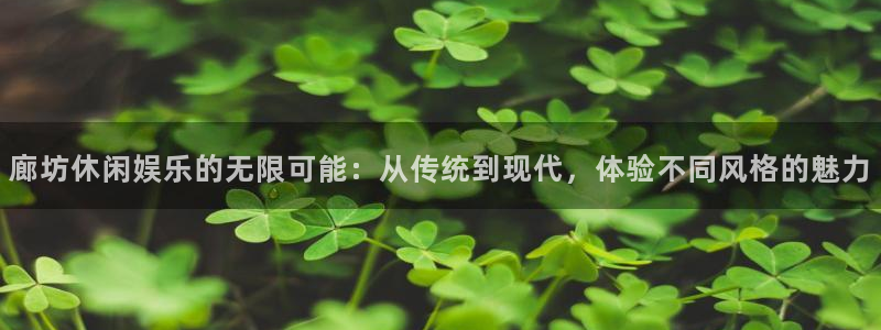 尊龙时凯平台招商：廊坊休闲娱乐的无限可能：从传统到现代，体验不同风格的魅力