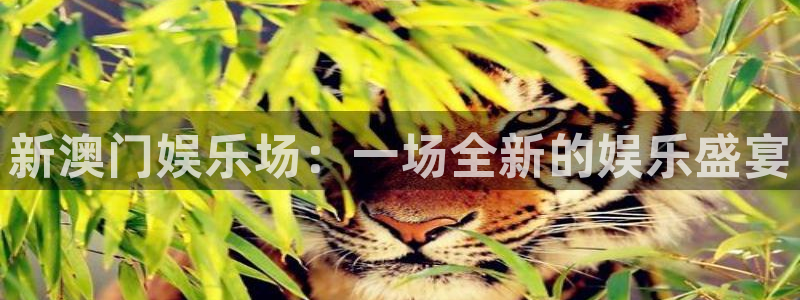 尊龙时凯体育论坛：新澳门娱乐场：一场全新的娱乐盛宴