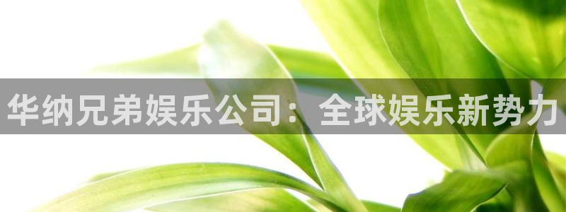 尊龙时凯2平台注册：华纳兄弟娱乐公司：全球娱乐新势力