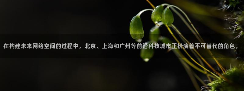 尊龙时凯平台注册入口：在构建未来网络空间的过程中，北京、上海和广州等前沿科技城市正扮演着不可替代的角色。