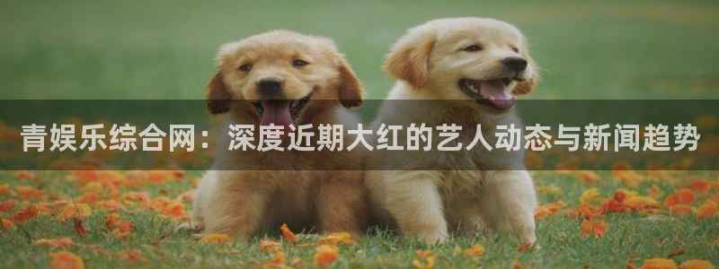 尊龙时凯体育平台登录入口：青娱乐综合网：深度近期大红的艺人动态与新闻趋势